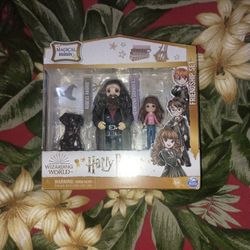 Harry Potter - Rubeus And Hermione 