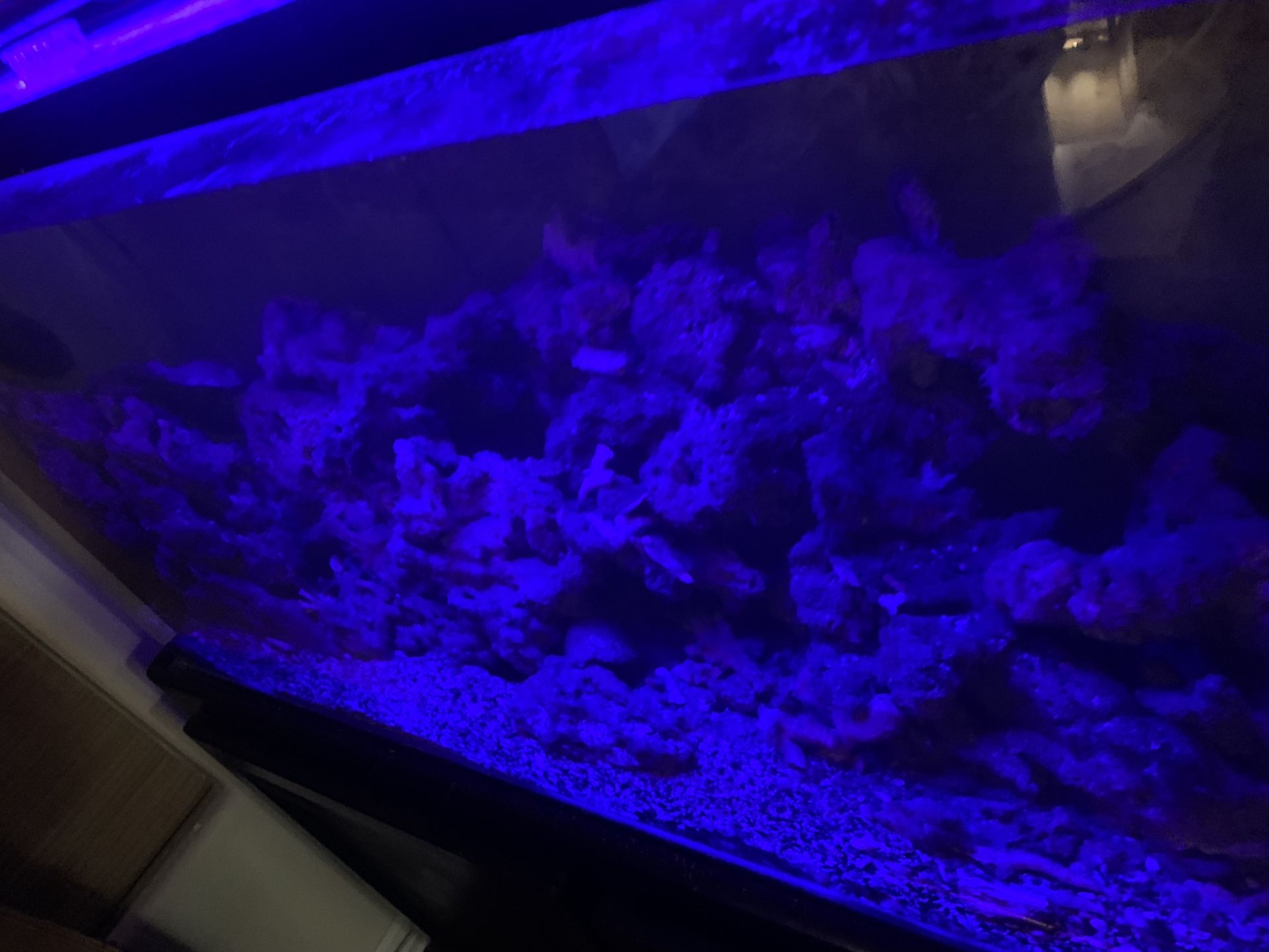 85 Gallon complete Fish Tank And Stand