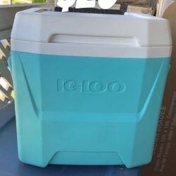 Igloo Cooler