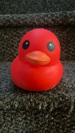 Squishy Duck