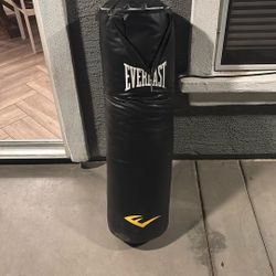 Punching Bag Everlast 