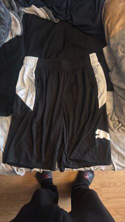 Pumas  black short , size L