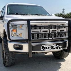 Brush Guard Ford F150
