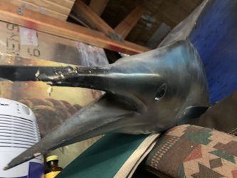 Sailfish mount