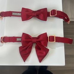 Two Dog Bows 