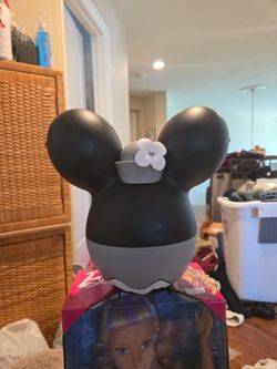 Disneyland Popcorn Bucket