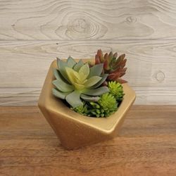 Artificial Succulent 