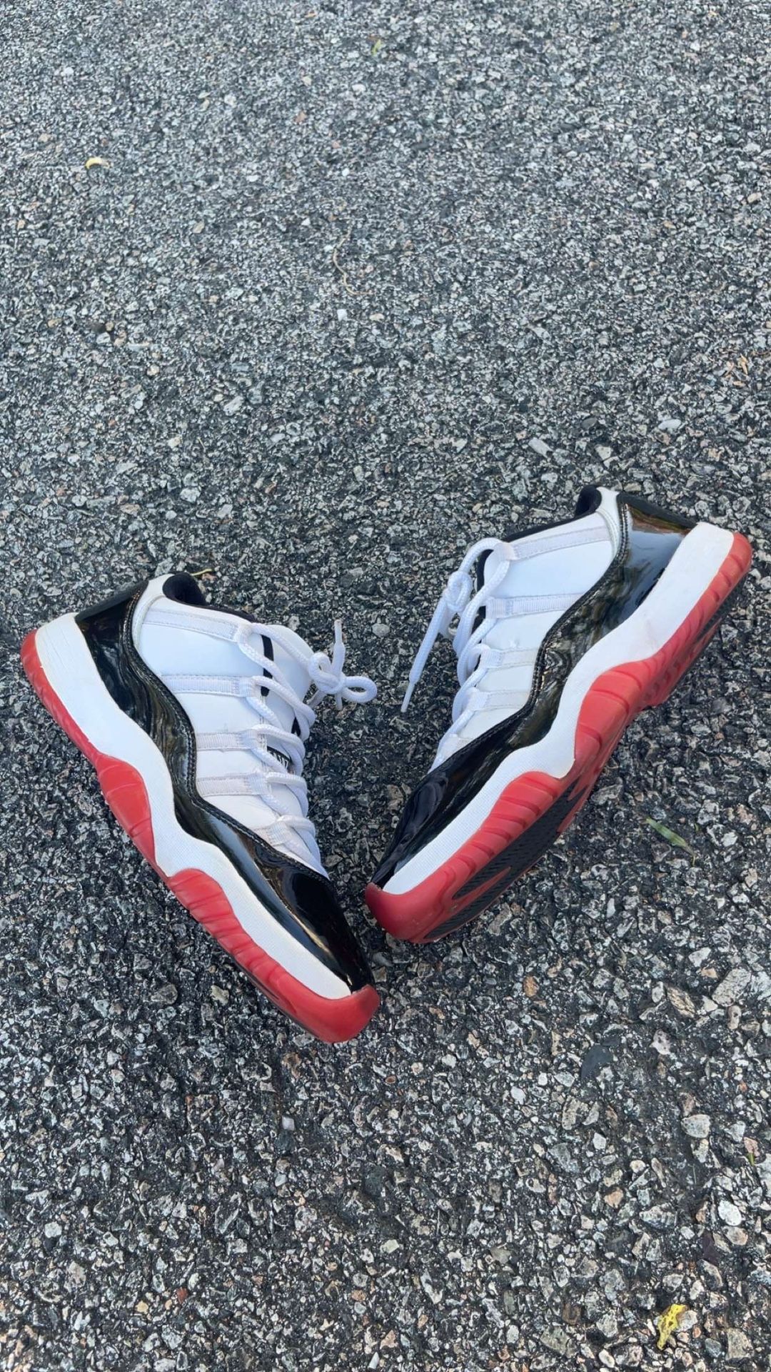 jordan 11 lows 