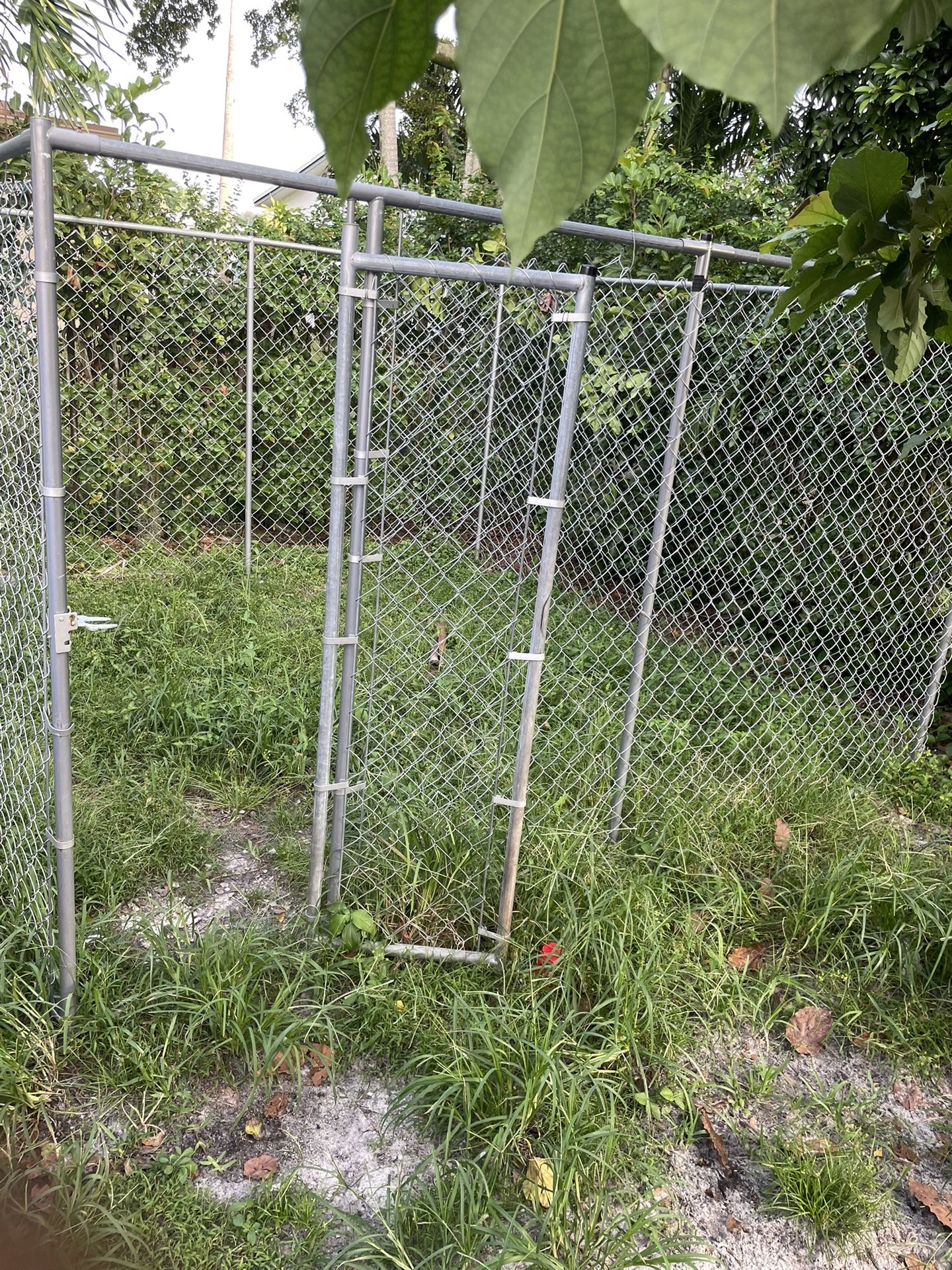 10 X 10 Outdoor Dog Kennel