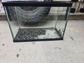 Fish tank