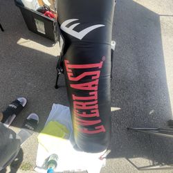Everlast Punching Bag 