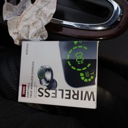 Earphones 