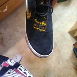 Brand New Nike Sb 10.5