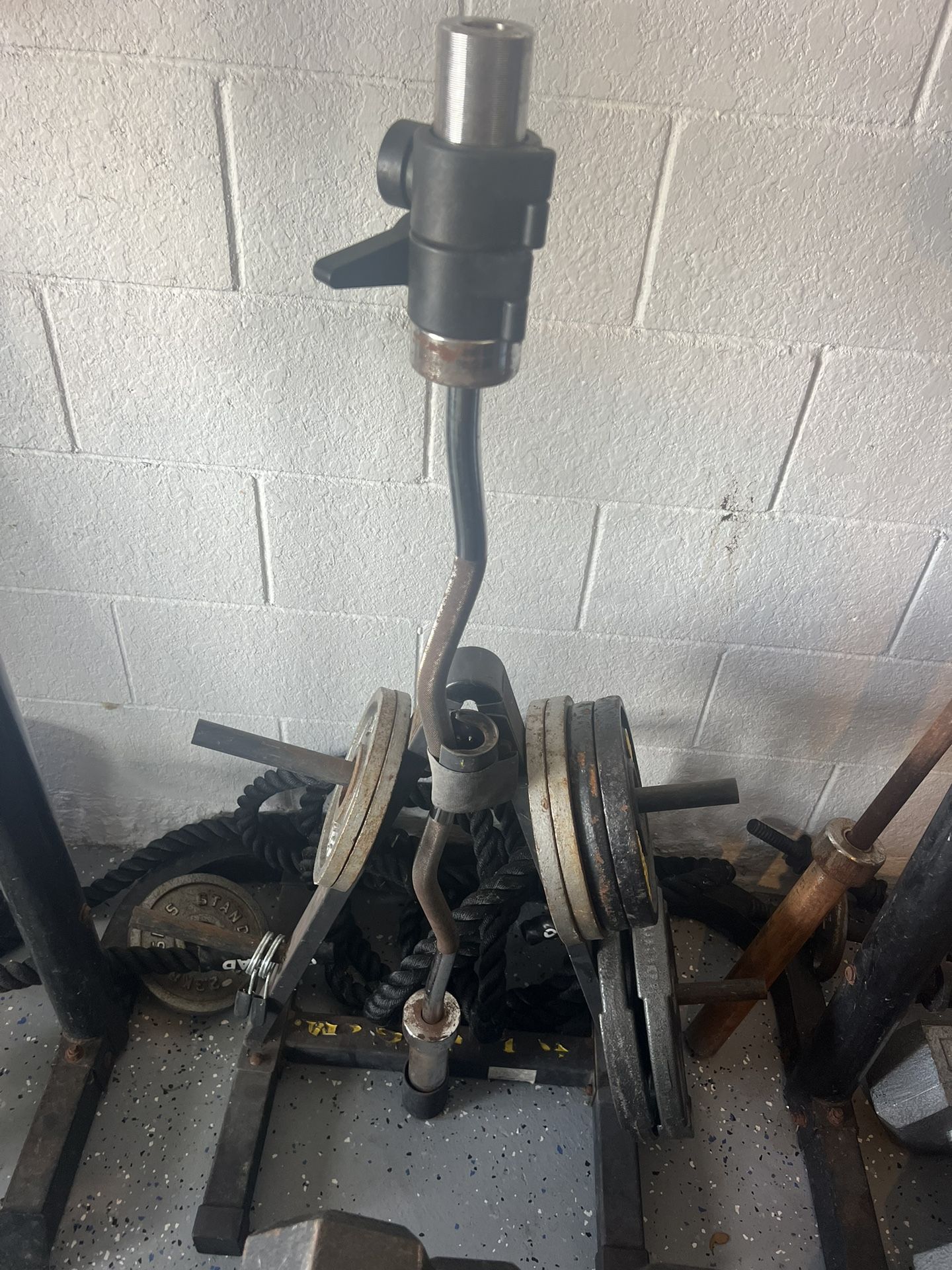 Curl Bar / weight Tree