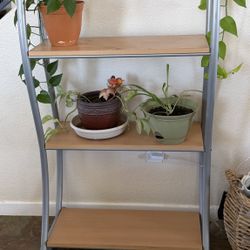 4 Tier Shelf
