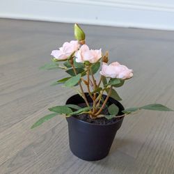 IKEA FEJKA Artificial Potted Plant, Indoor/Outdoor/Rose Pink for Sale in  Palatine, IL - OfferUp