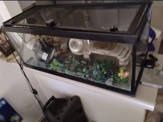 Fish Or Reptile Tank