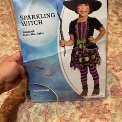 Spirit Halloween Costume 