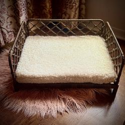 Brand new small/medium dog bed never used out of box.