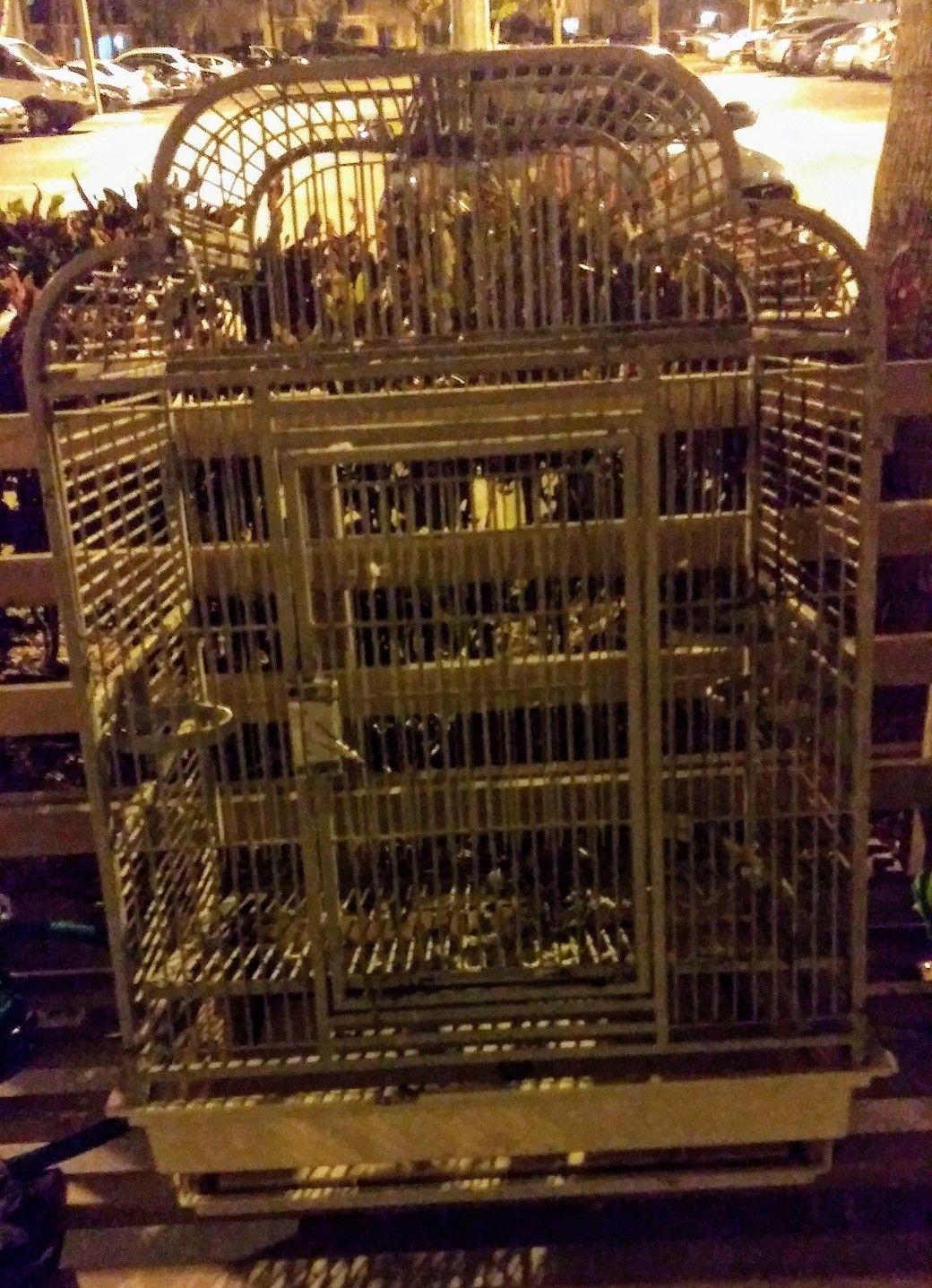 Bird Cage