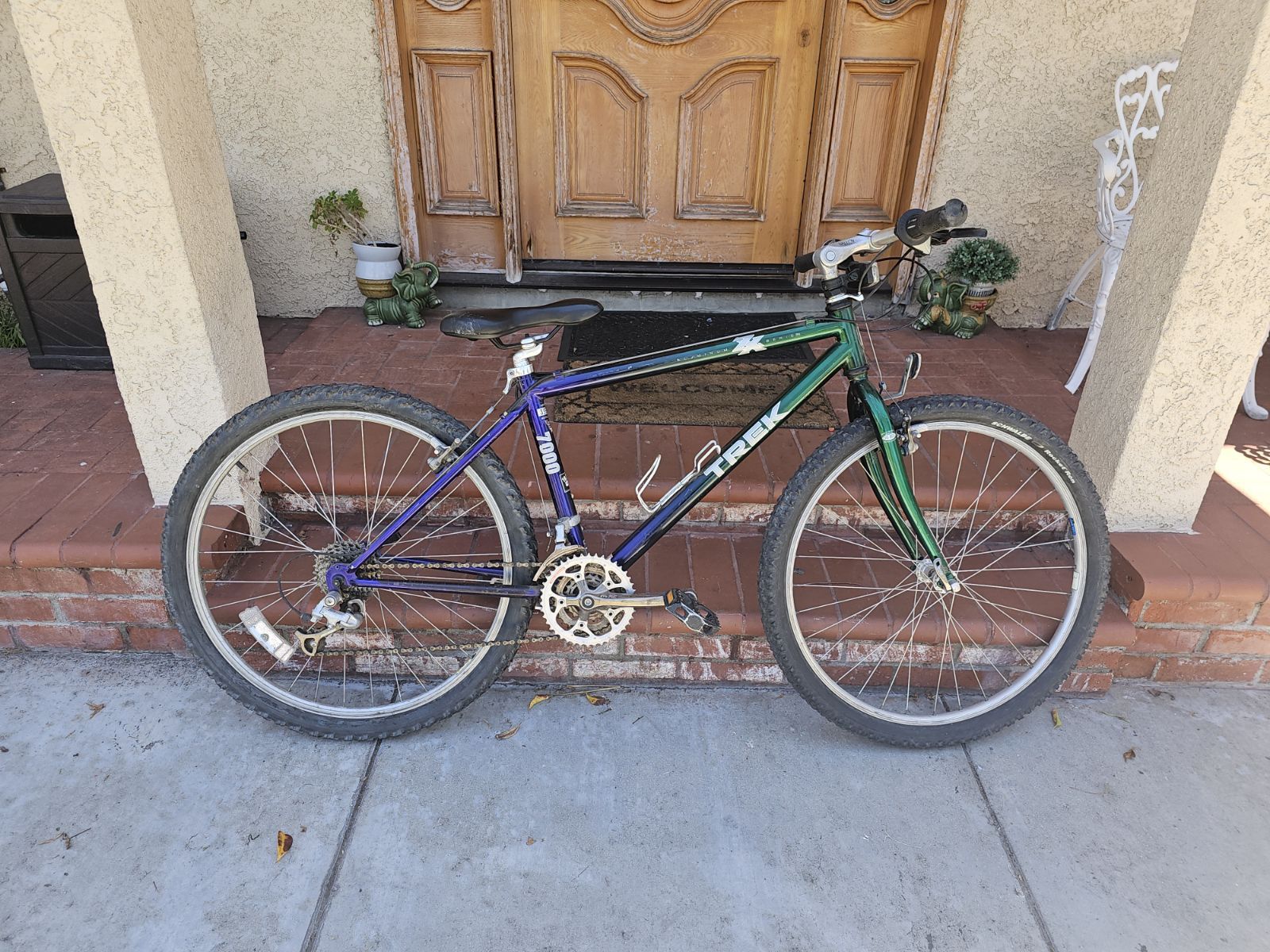Trek bike