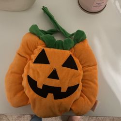 Dog Halloween Costume 