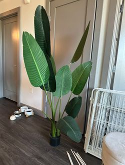 5 Foot Artificial Silk Bird of Paradise Palm Tree