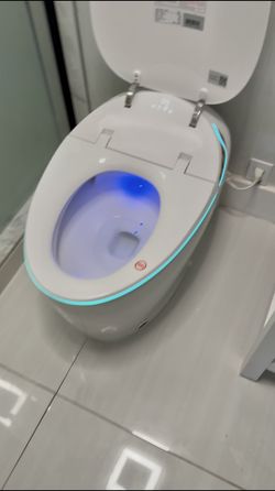 Smart Toilet. 