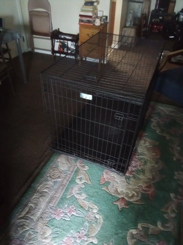 Dog Cage 