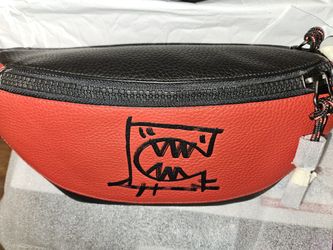 Coach Belt Bag