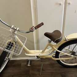 Giant Comfort/Cruiser Bicycle with Basket - Single Speed, Step-Through Frame
