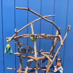 Parrot Perch Tree— Custom Made, Each Unique … Hard Durable Ribbon Wood, The New FAV spot For Your African Grey Or Amazon ! 👍🏼