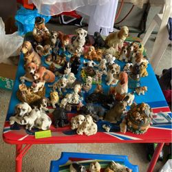 Dog  Collection 