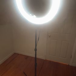 19 Inch Ring Light with Stand & Phone Holder – 55W 5500K Professional Ring Light