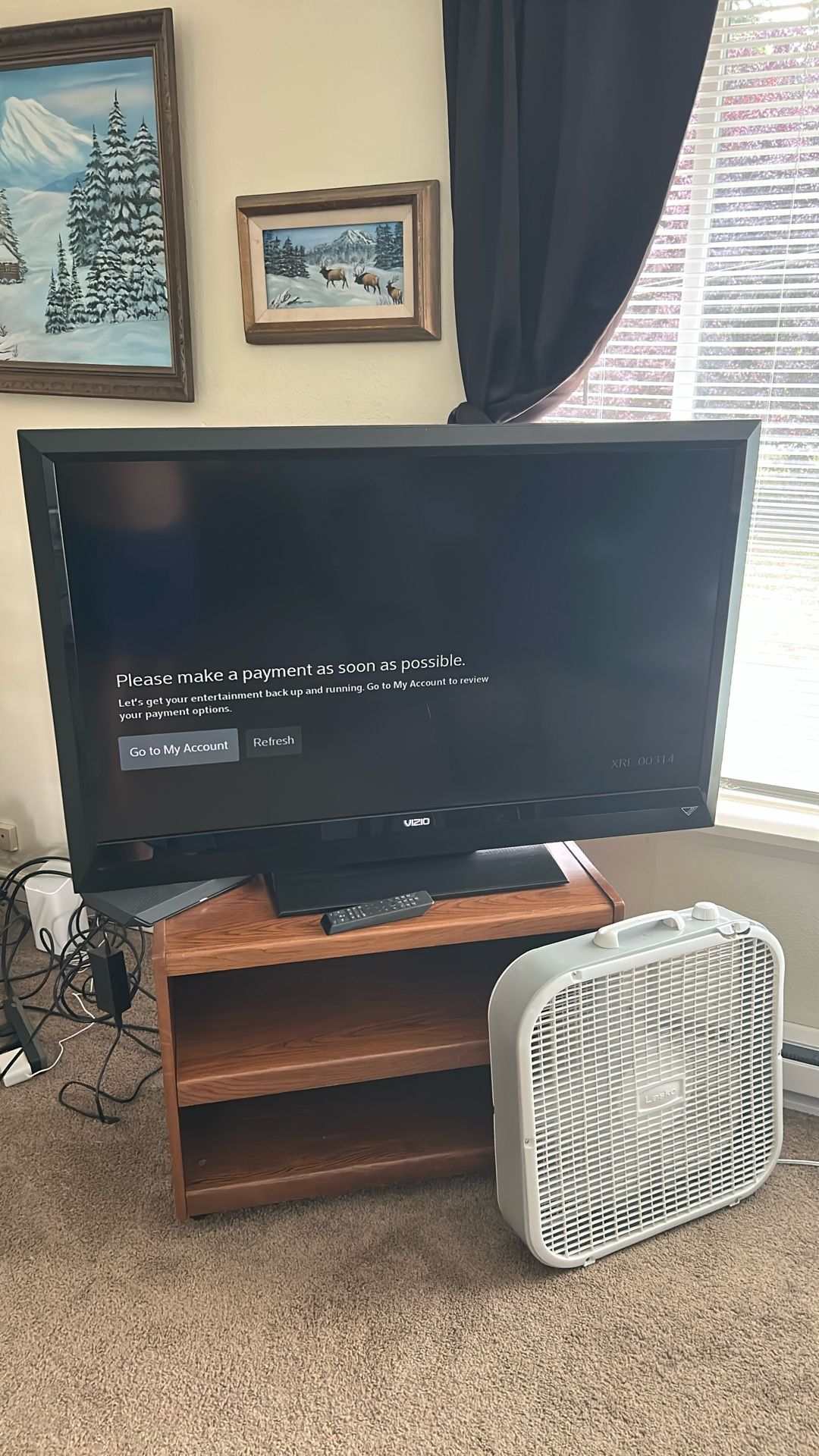 40 inch Vizio TV