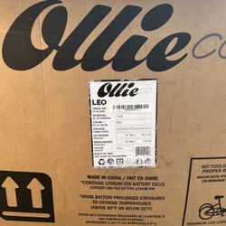 Electric Bike 
