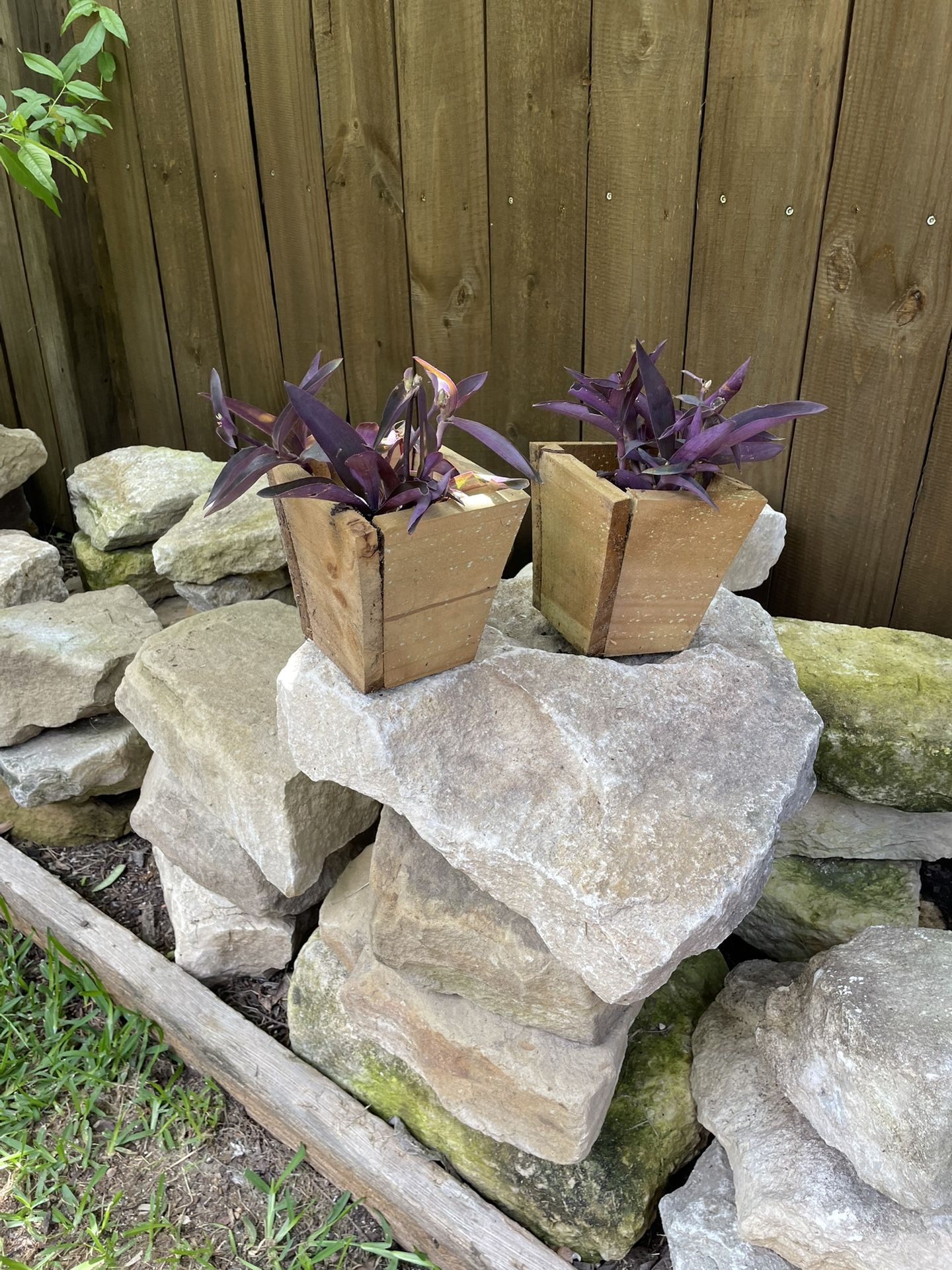 Small planter Boxes with plants