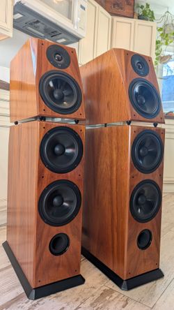 Von Schweikert Audio VR4JR Speaker Pair in excellent condition high end speakers