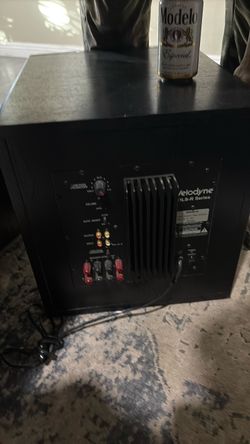 Belodyne 12 inch power subwoofer