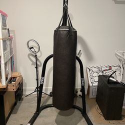 Punching Bag W/gloves