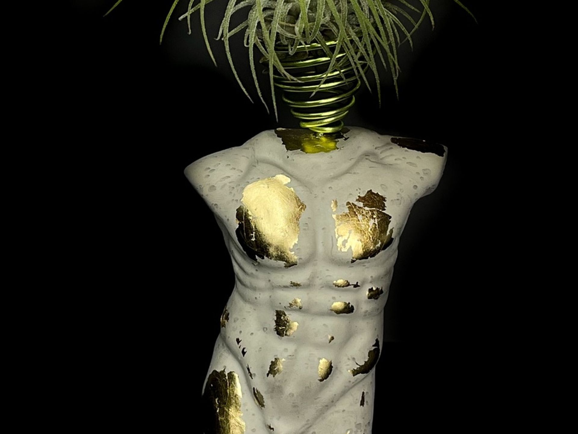 BBoho Décor Air Plant Holder | BRAND NEW | Man Body Sculpture Concrete Man Bust Desk Accessories Male Torso Small Plant Pot Succulent Planter