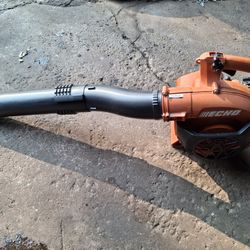 Echo Leafblower