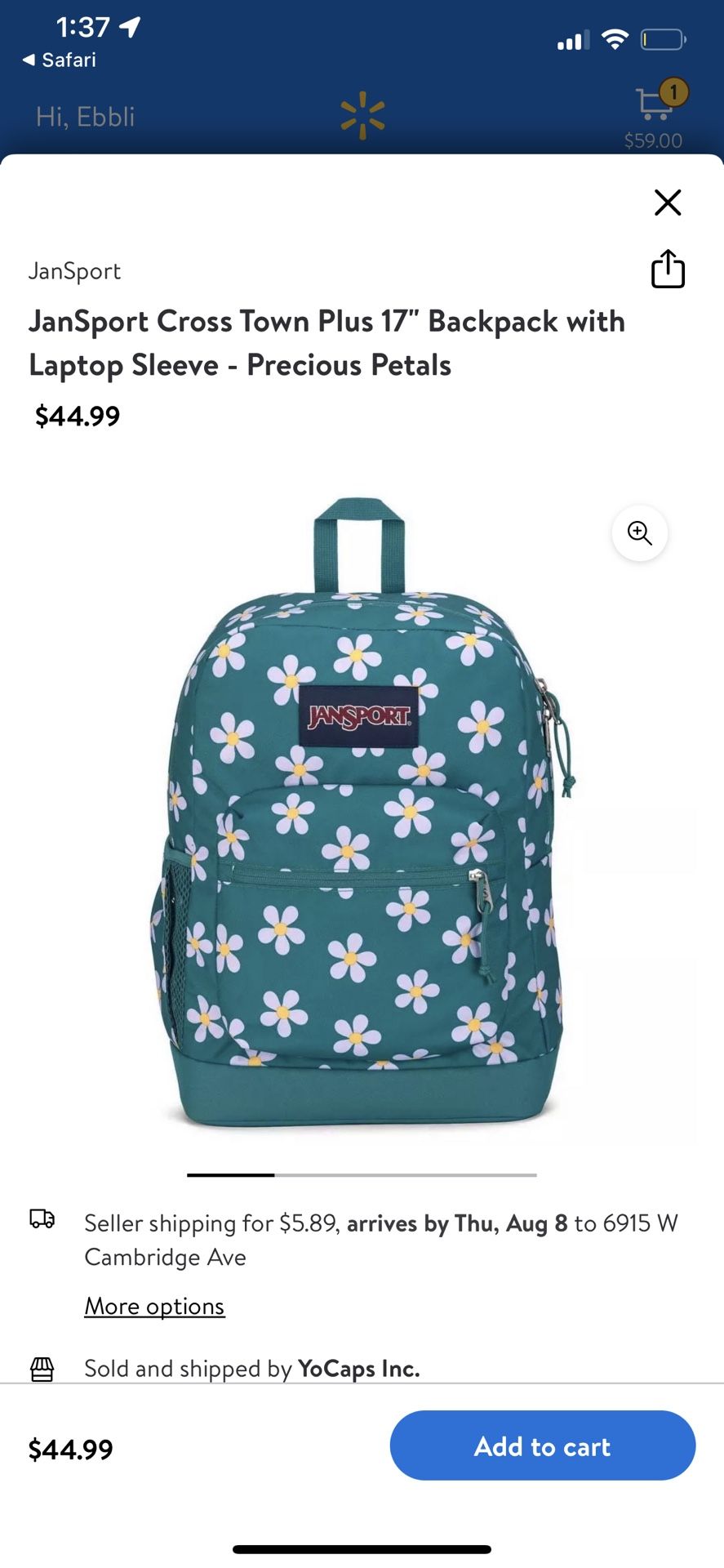 Jansport Backpack