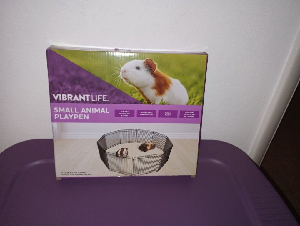 Animal Playtime