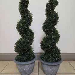 *** REDUCED *** PAIR of 3ft Boxwood Spirals in 12in Blue Circle Planters @ Lasting Creations