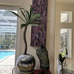 Tropical Plant Bonsai