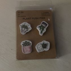 Push Pins