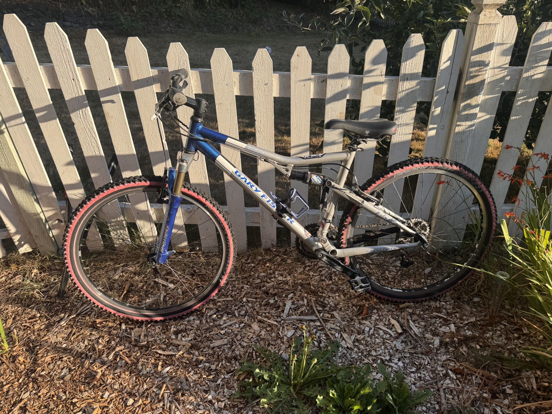 Trail Bike