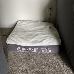 Spoiled Cat/Dog Bed Like New