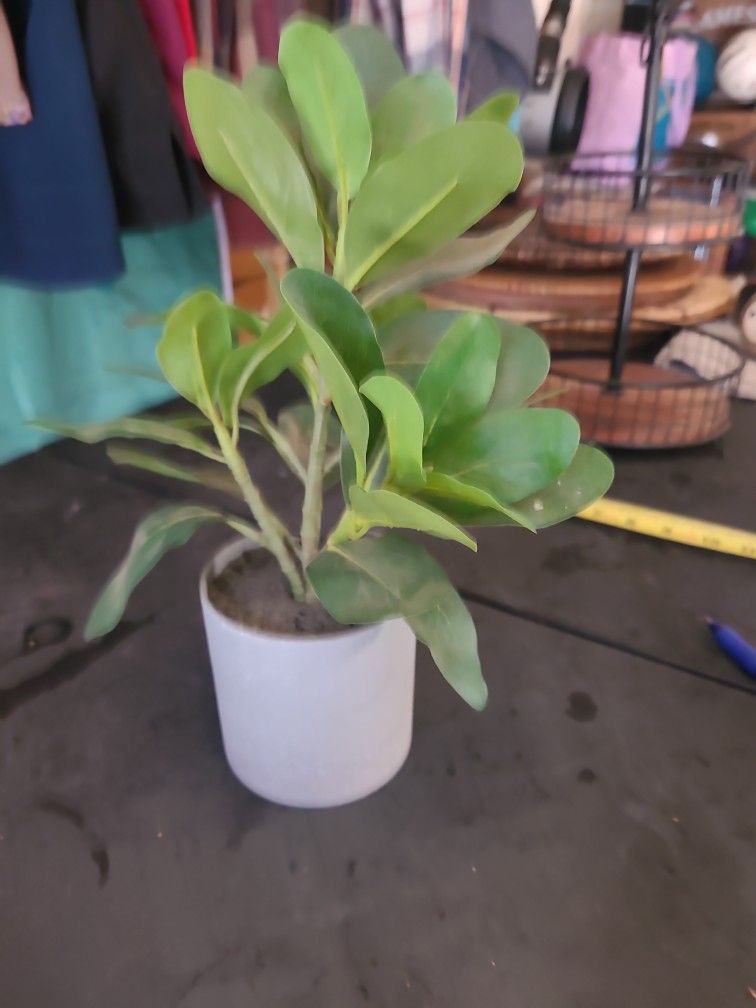 Fake Plant